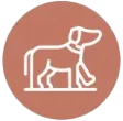 PetFriendlySB Sole BLU | Puerto Morelos